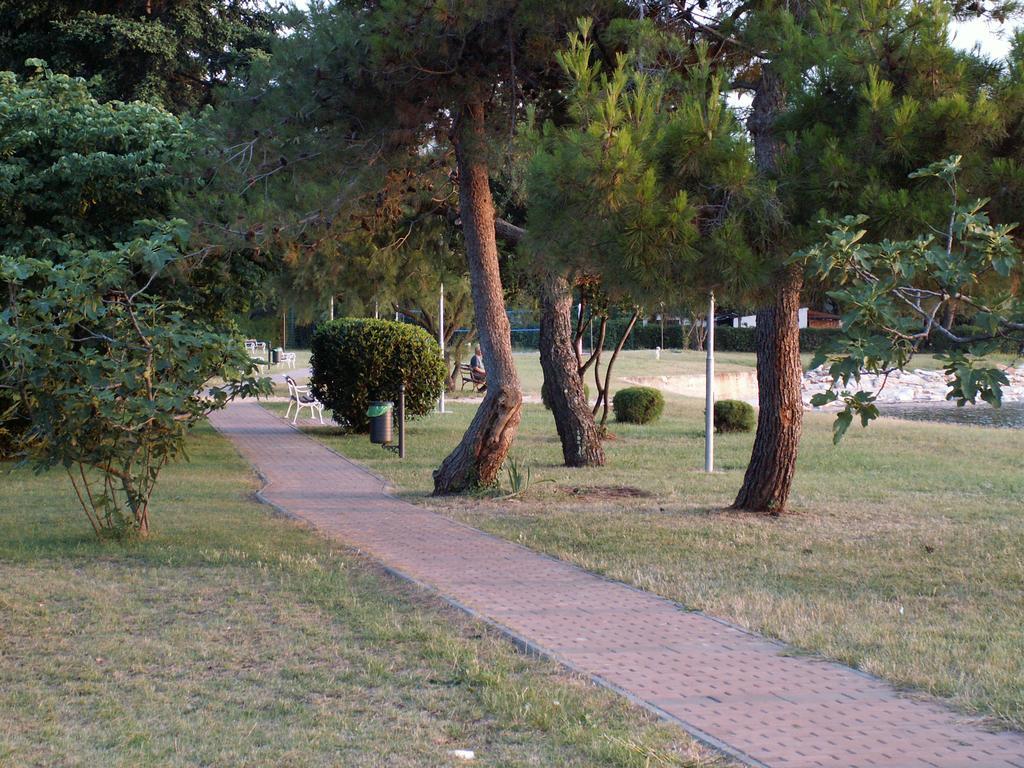 Apartment Alice Novigrad Istria Esterno foto