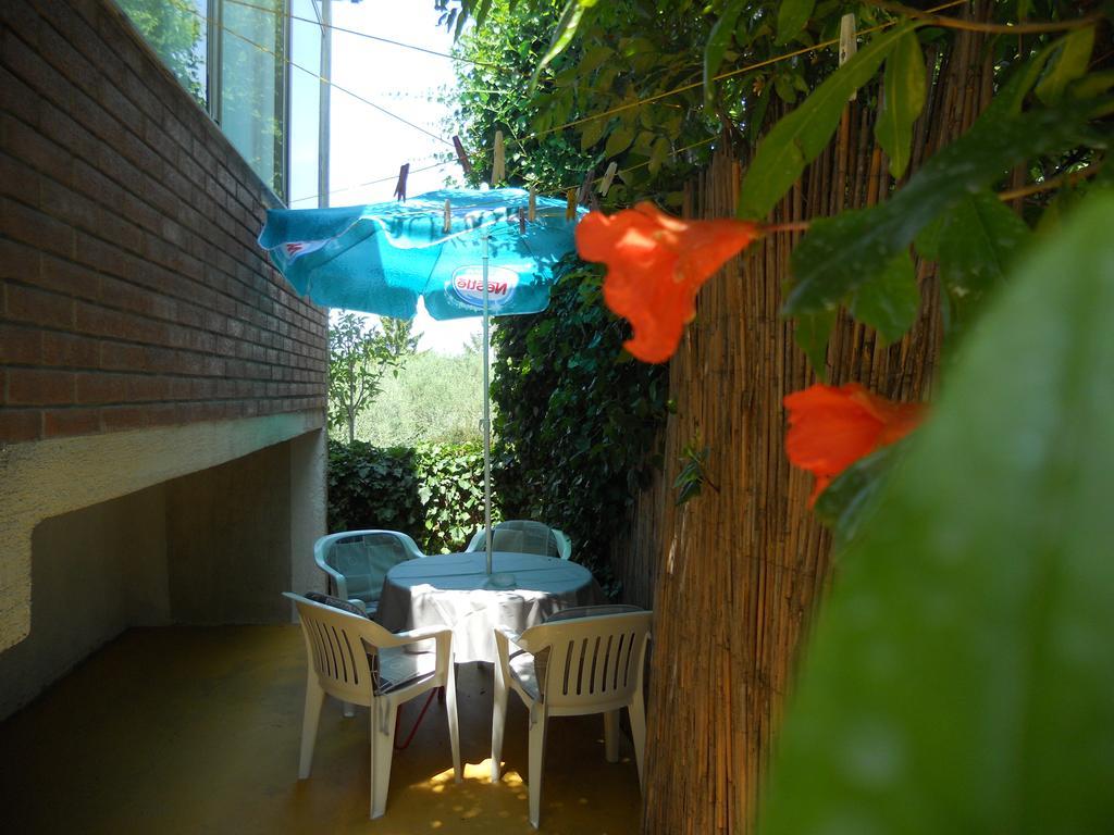 Apartment Alice Novigrad Istria Esterno foto